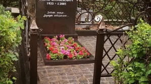 Цветы в цветнике